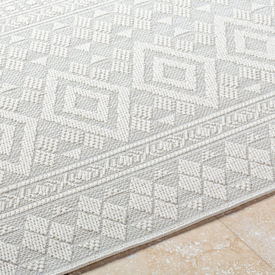 Surya Sandra SDR-2310 Beige Area Rug by LIVABLISS