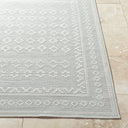 Surya Sandra SDR-2311 Beige Area Rug by LIVABLISS