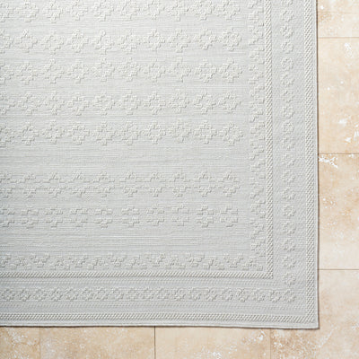 Surya Sandra SDR-2311 Beige Area Rug by LIVABLISS