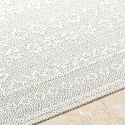 Surya Sandra SDR-2311 Beige Area Rug by LIVABLISS