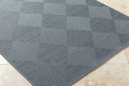 Surya Sandra SDR-2312 Charcoal Area Rug by LIVABLISS