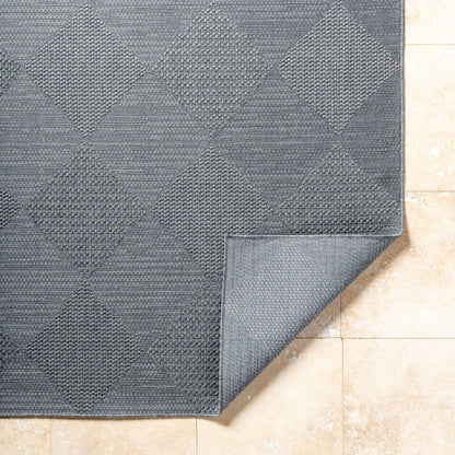Surya Sandra SDR-2312 Charcoal Area Rug by LIVABLISS