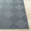 Surya Sandra SDR-2312 Charcoal Area Rug by LIVABLISS