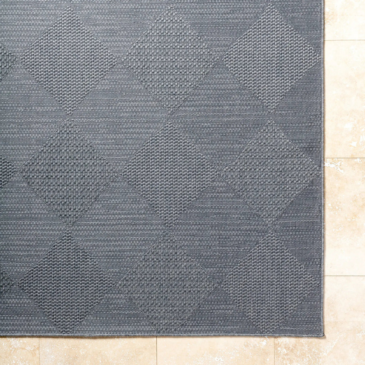 Sandra SDR-2312 Charcoal Area Rug by LIVABLISS