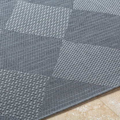 Surya Sandra SDR-2312 Charcoal Area Rug by LIVABLISS
