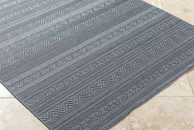 Surya Sandra SDR-2321 Charcoal Area Rug by LIVABLISS