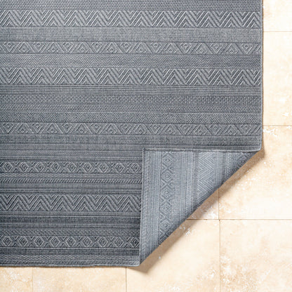 Surya Sandra SDR-2321 Charcoal Area Rug by LIVABLISS