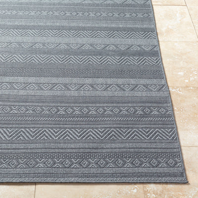Surya Sandra SDR-2321 Charcoal Area Rug by LIVABLISS
