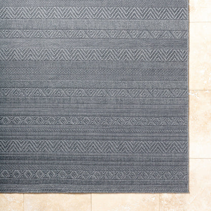 Surya Sandra SDR-2321 Charcoal Area Rug by LIVABLISS