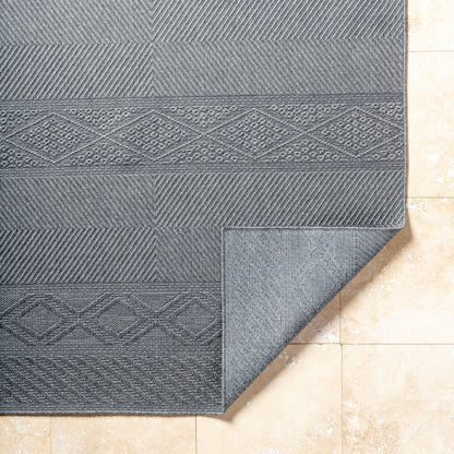 Surya Sandra SDR-2322 Charcoal Area Rug by LIVABLISS