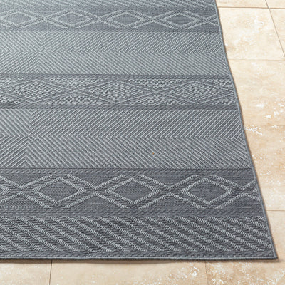 Surya Sandra SDR-2322 Charcoal Area Rug by LIVABLISS