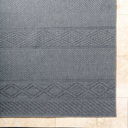 Surya Sandra SDR-2322 Charcoal Area Rug by LIVABLISS