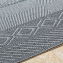 Surya Sandra SDR-2322 Charcoal Area Rug by LIVABLISS