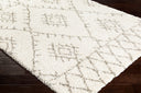 Surya Serengeti Shag SGT-2301 Ivory Area Rug by LIVABLISS