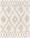 Surya Serengeti Shag SGT-2301 Ivory Area Rug by LIVABLISS