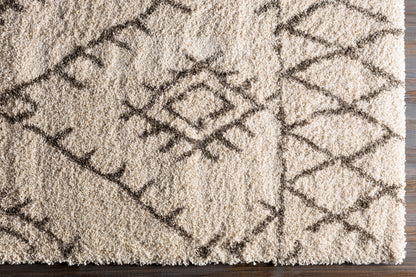 Surya Serengeti Shag SGT-2301 Ivory Area Rug by LIVABLISS