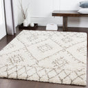 Surya Serengeti Shag SGT-2301 Ivory Area Rug by LIVABLISS