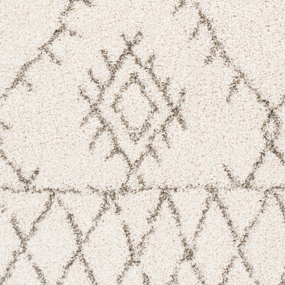 Surya Serengeti Shag SGT-2301 Ivory Area Rug by LIVABLISS