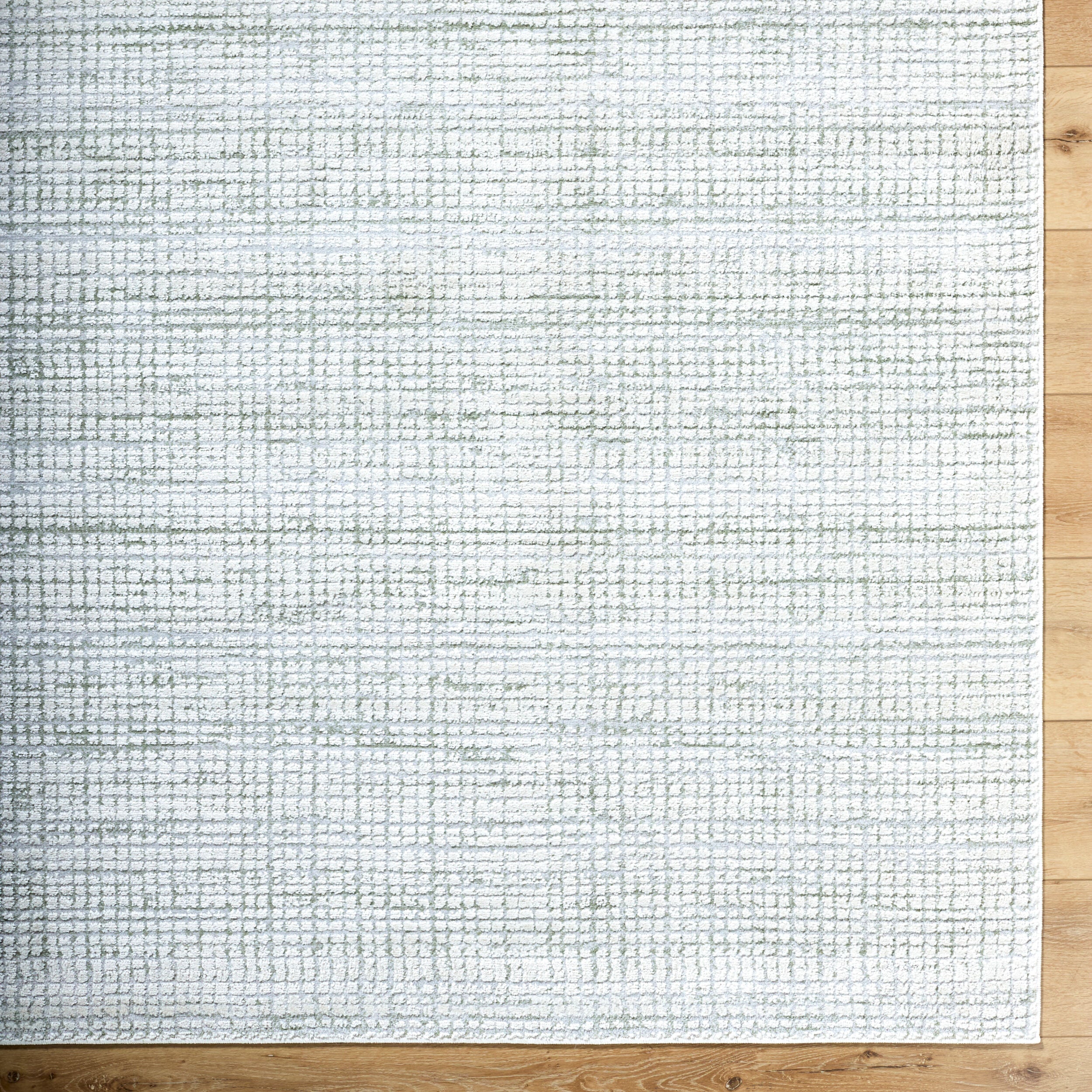 Surya Siyah SIY-2319 Light Slate Area Rug by LIVABLISS