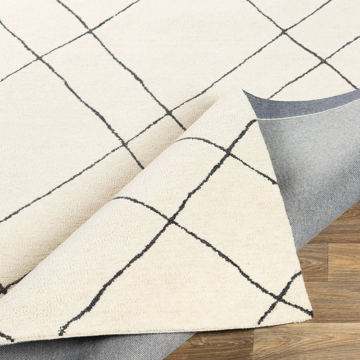 Sinop SNP-2304 Black Area Rug by LIVABLISS