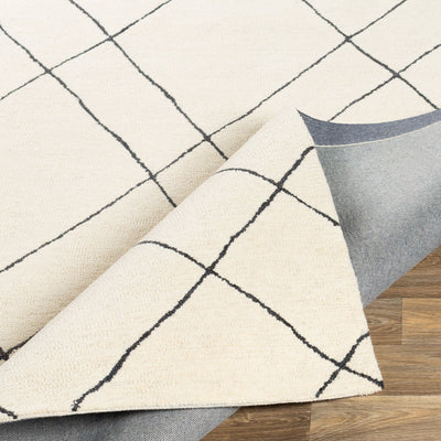 Surya Sinop SNP-2304 Black Area Rug by LIVABLISS
