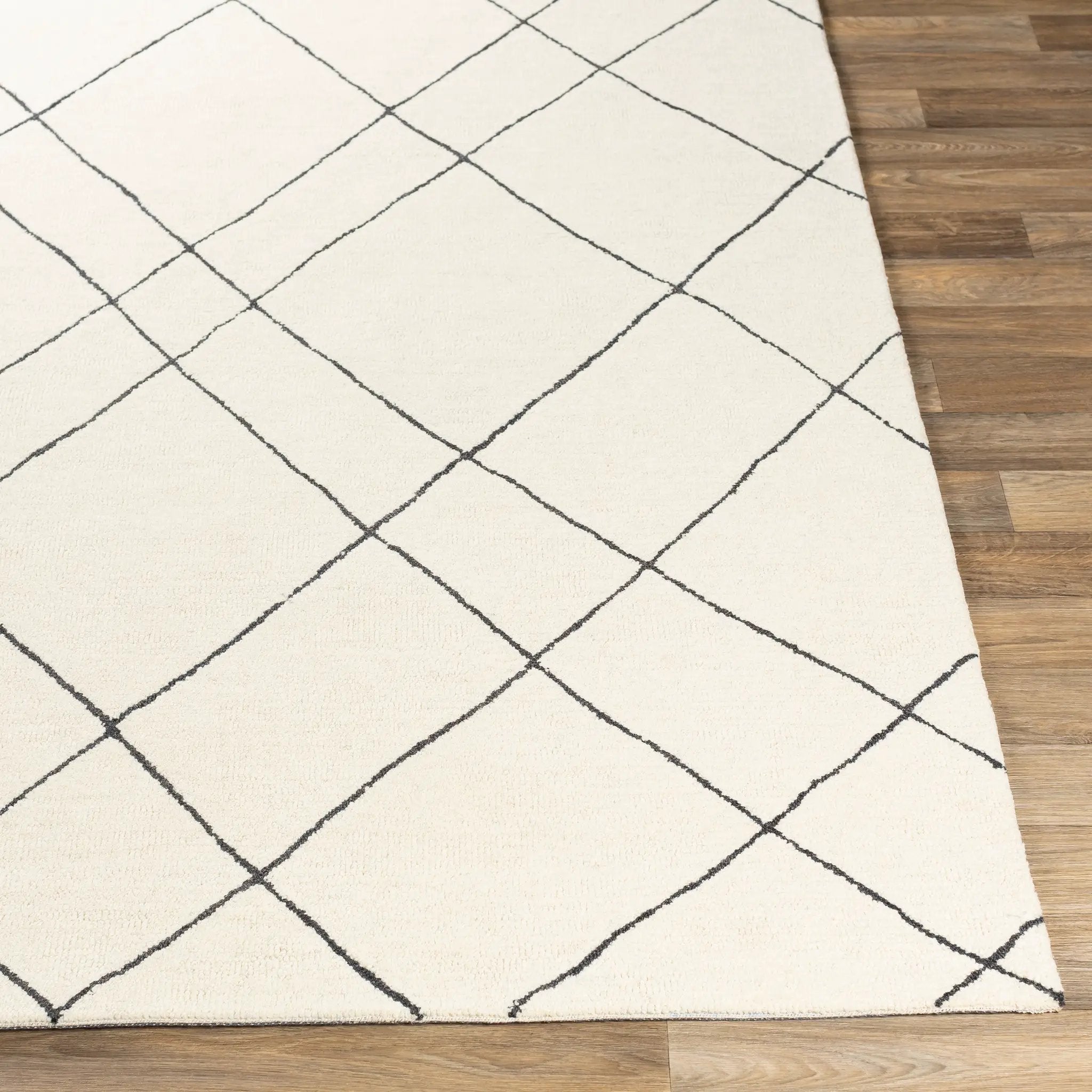 Sinop SNP-2304 Black Area Rug by LIVABLISS