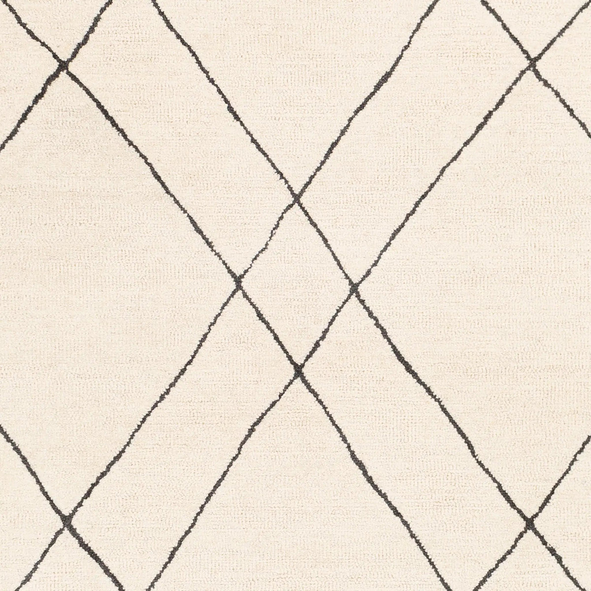 Sinop SNP-2304 Black Area Rug by LIVABLISS