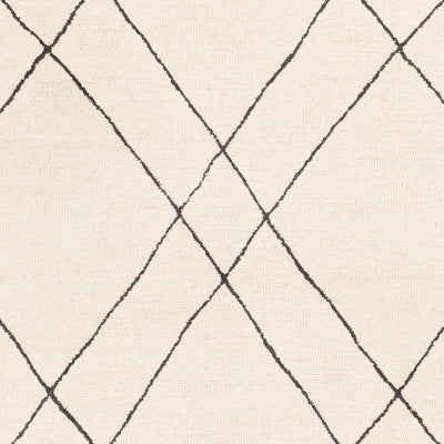 Surya Sinop SNP-2304 Black Area Rug by LIVABLISS