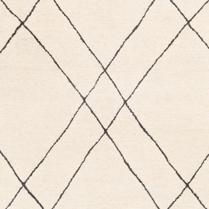 Surya Sinop SNP-2304 Black Area Rug by LIVABLISS