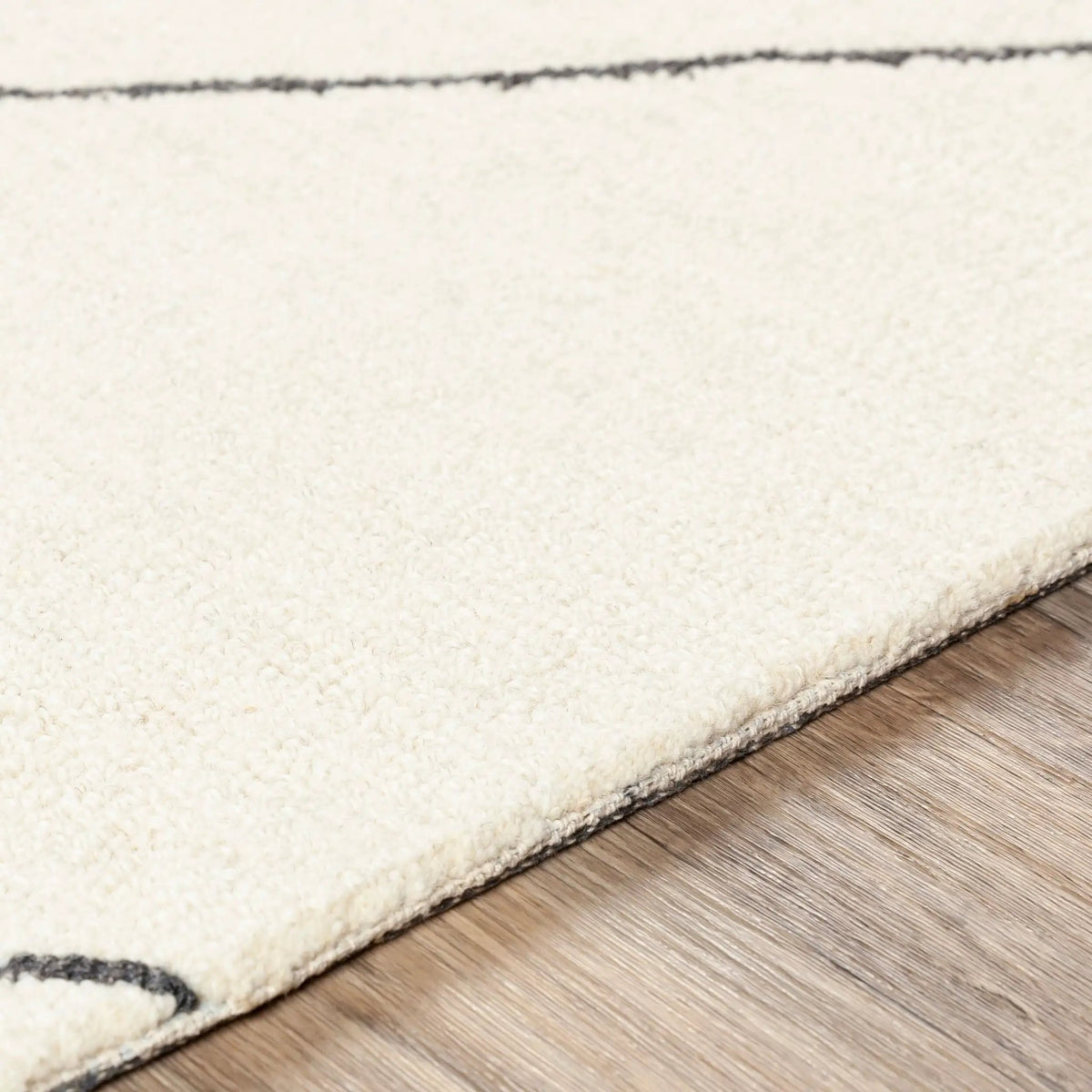Sinop SNP-2304 Black Area Rug by LIVABLISS