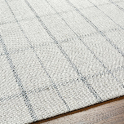 Surya Tartan TAR-2304 Oatmeal Area Rug by LIVABLISS