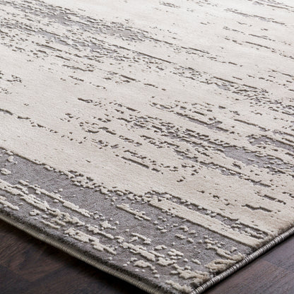 Surya Tibetan TBT-2304 Beige Area Rug by LIVABLISS