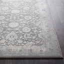 Surya Tibetan TBT-2309 Ivory Area Rug by LIVABLISS