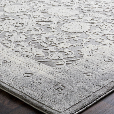 Surya Tibetan TBT-2309 Ivory Area Rug by LIVABLISS