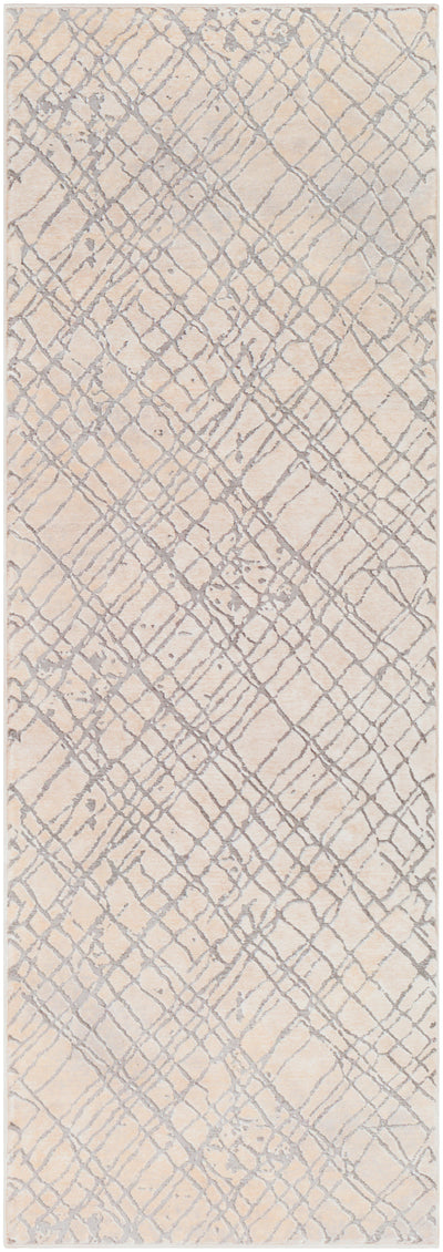 Surya Tibetan TBT-2314 Beige Area Rug by LIVABLISS