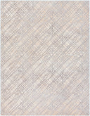 Surya Tibetan TBT-2314 Beige Area Rug by LIVABLISS