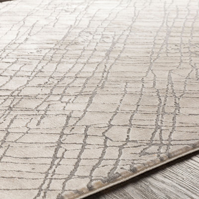 Surya Tibetan TBT-2314 Beige Area Rug by LIVABLISS