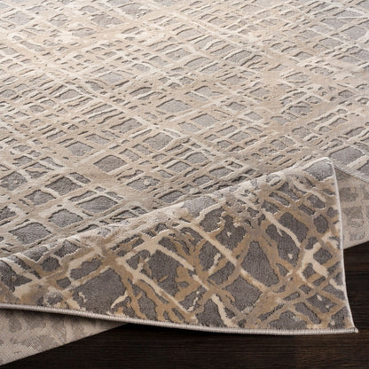 Surya Tibetan TBT-2316 Medium Gray Area Rug by LIVABLISS