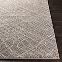 Surya Tibetan TBT-2316 Medium Gray Area Rug by LIVABLISS