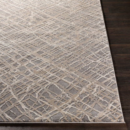 Surya Tibetan TBT-2316 Medium Gray Area Rug by LIVABLISS