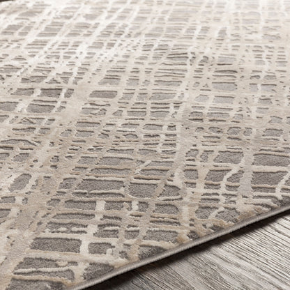 Surya Tibetan TBT-2316 Medium Gray Area Rug by LIVABLISS