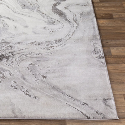 LIVABLISS Tibetan TBT-2317 Light-Gray Area Rug