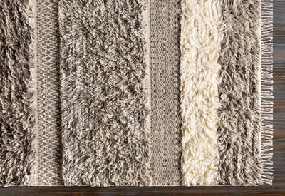Surya Tulum TMU-2302 Beige Area Rug by LIVABLISS