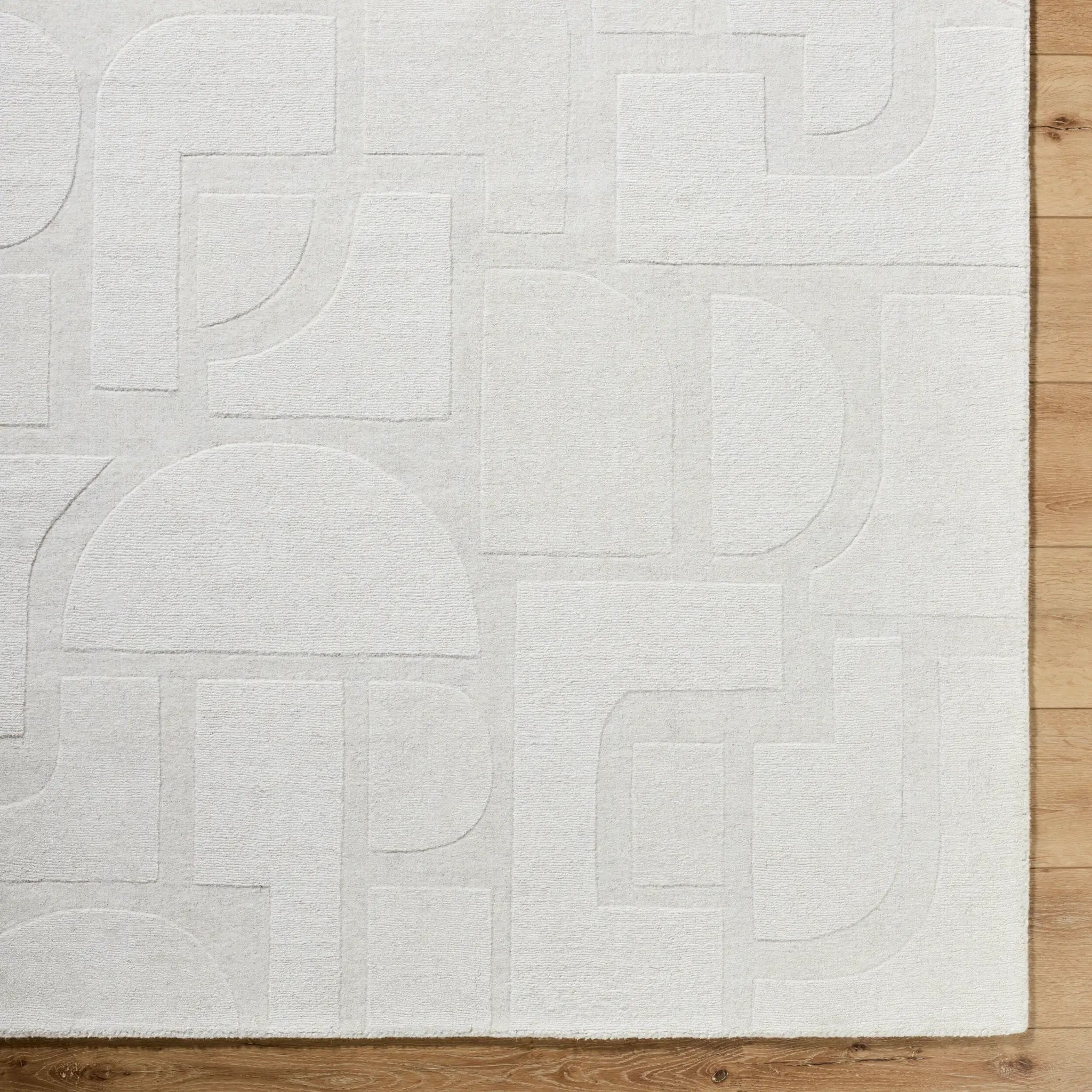 Taraash TRH-2306 Ivory Area Rug by LIVABLISS