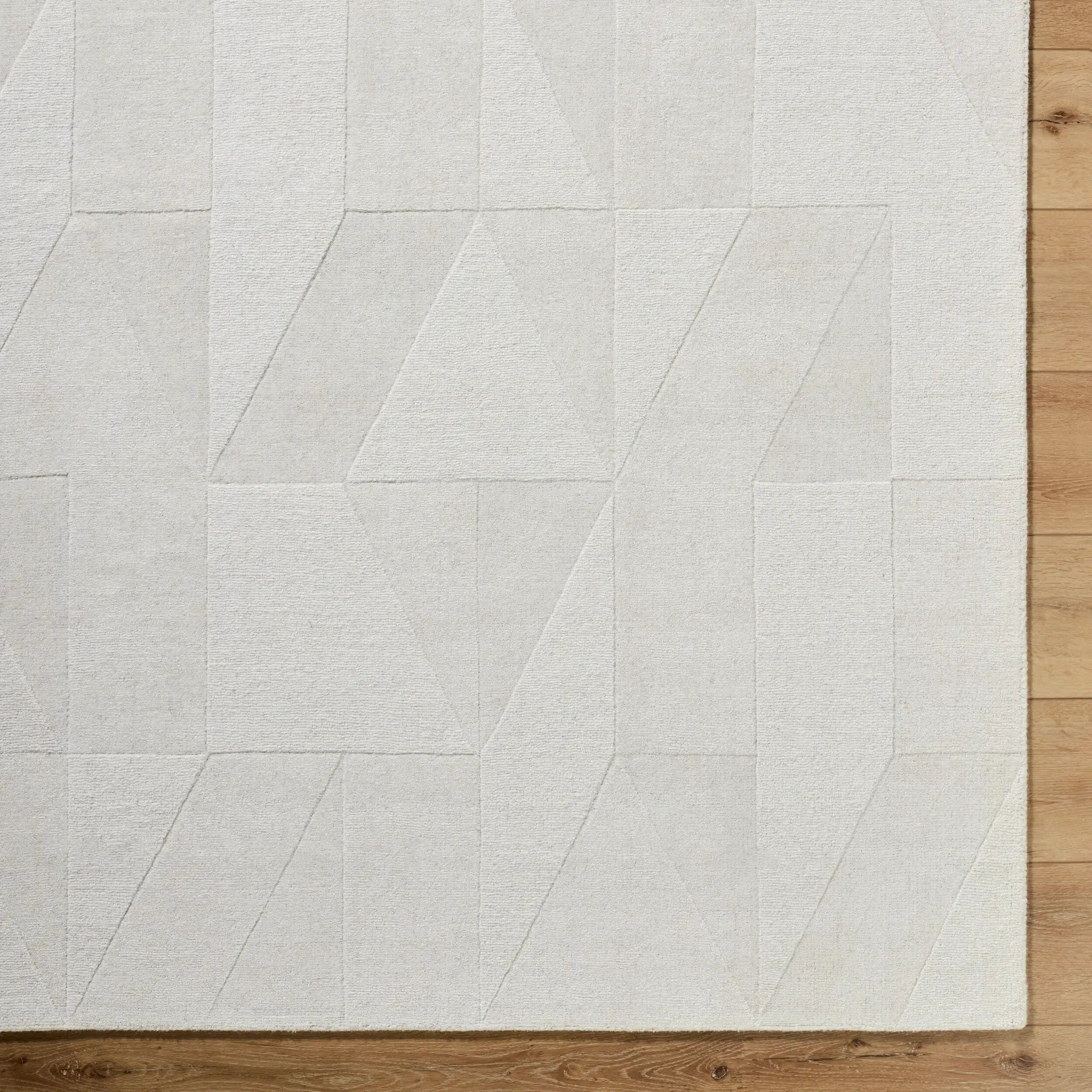 Taraash TRH-2307 Ivory Area Rug by LIVABLISS