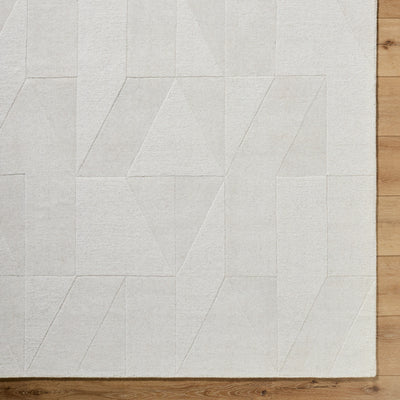 Surya Taraash TRH-2307 Ivory Area Rug by LIVABLISS