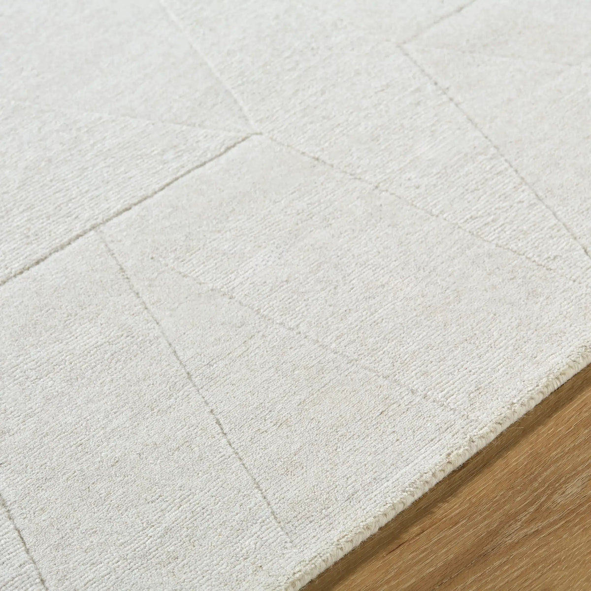 Taraash TRH-2307 Ivory Area Rug by LIVABLISS