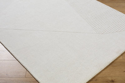 Surya Taraash TRH-2308 Ivory Area Rug by LIVABLISS