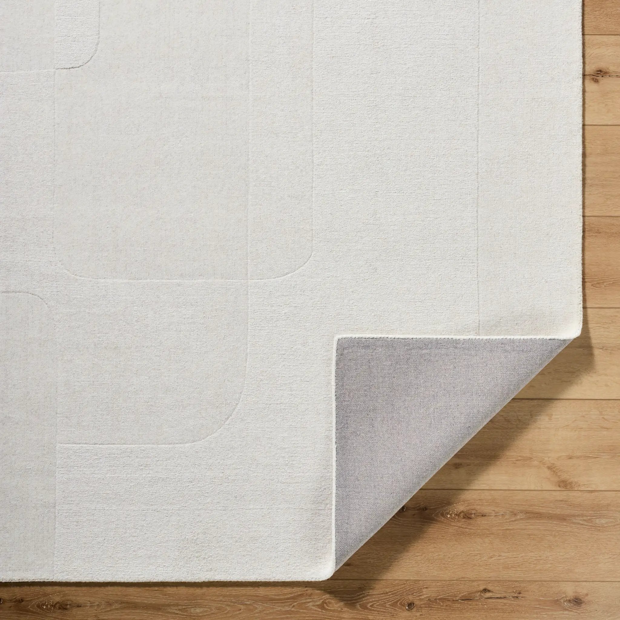 Taraash TRH-2309 Ivory Area Rug by LIVABLISS