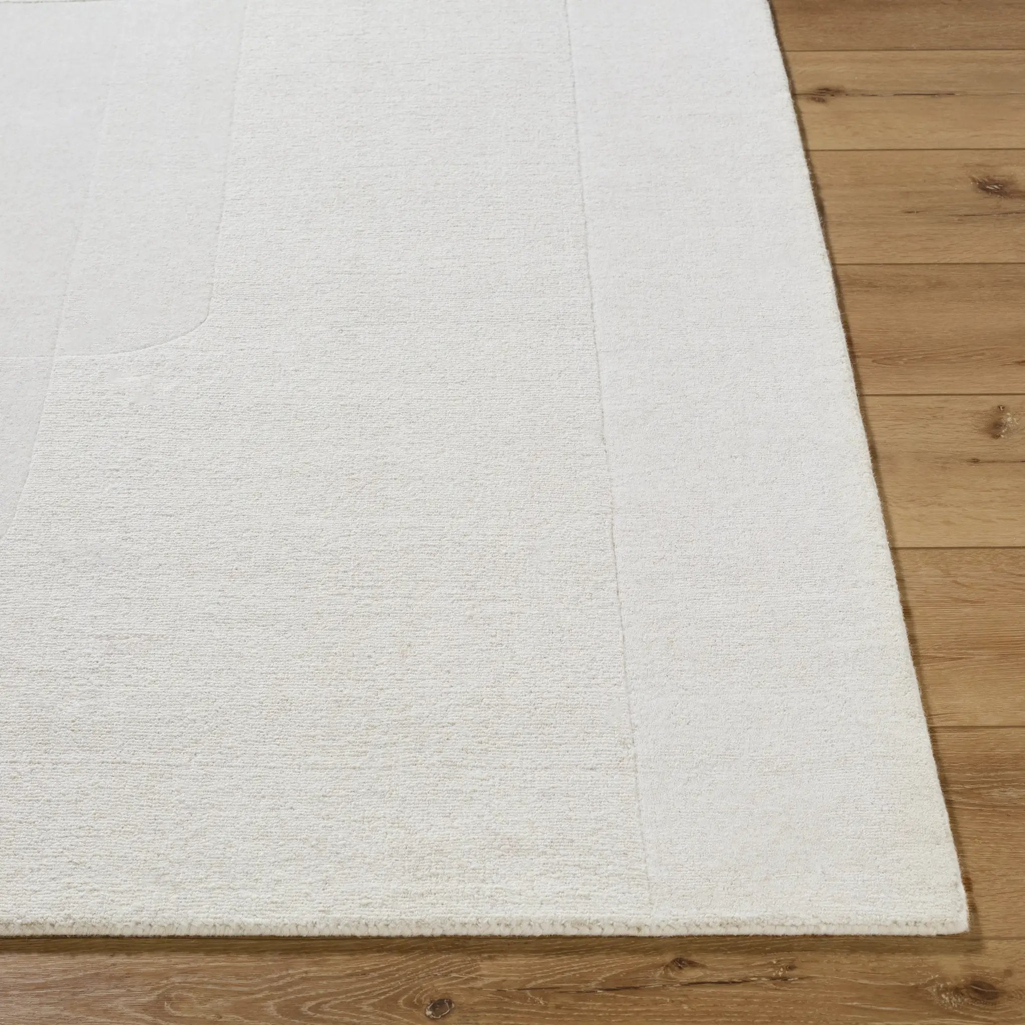 Taraash TRH-2309 Ivory Area Rug by LIVABLISS